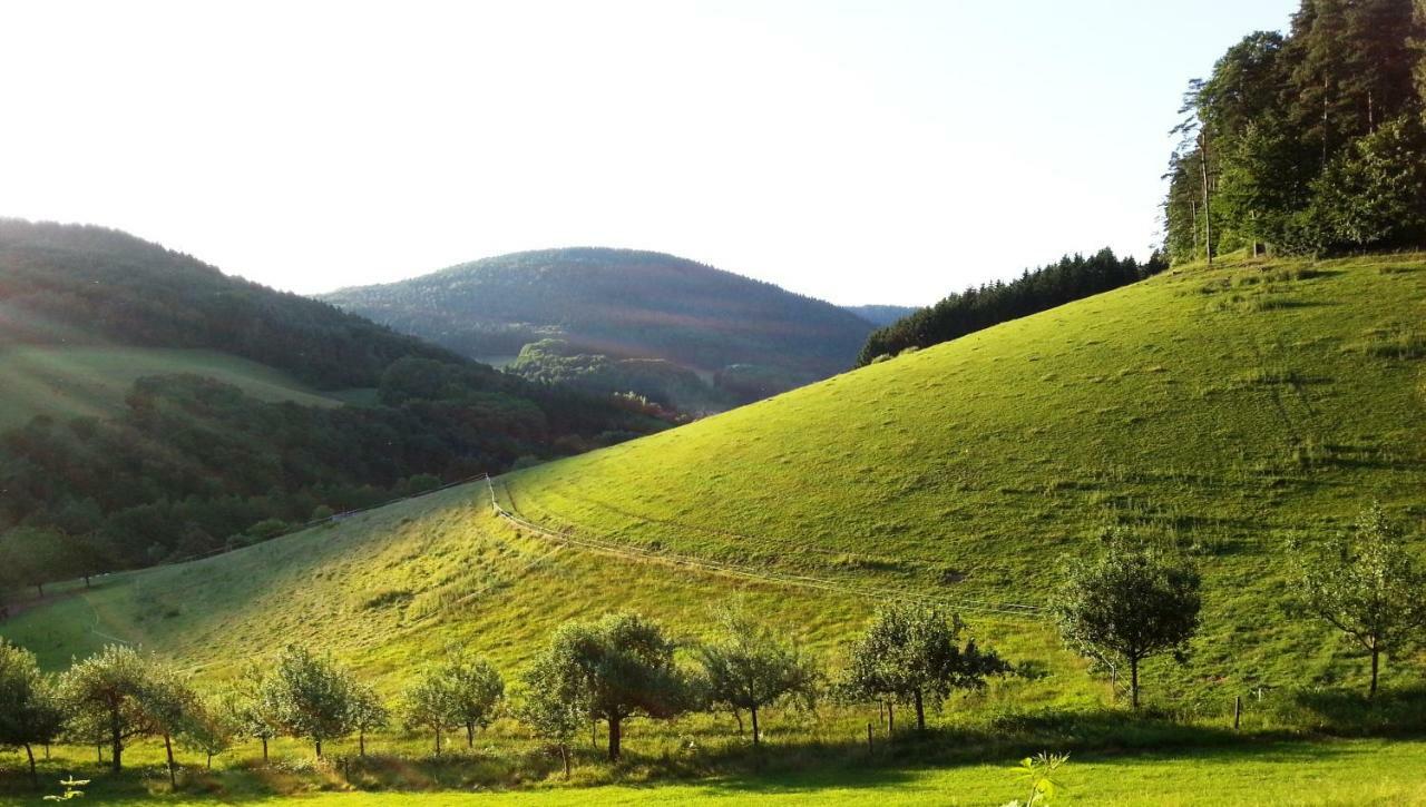 Apartmán UrlaubsRaum Heiligkreuzsteinach Exteriér fotografie