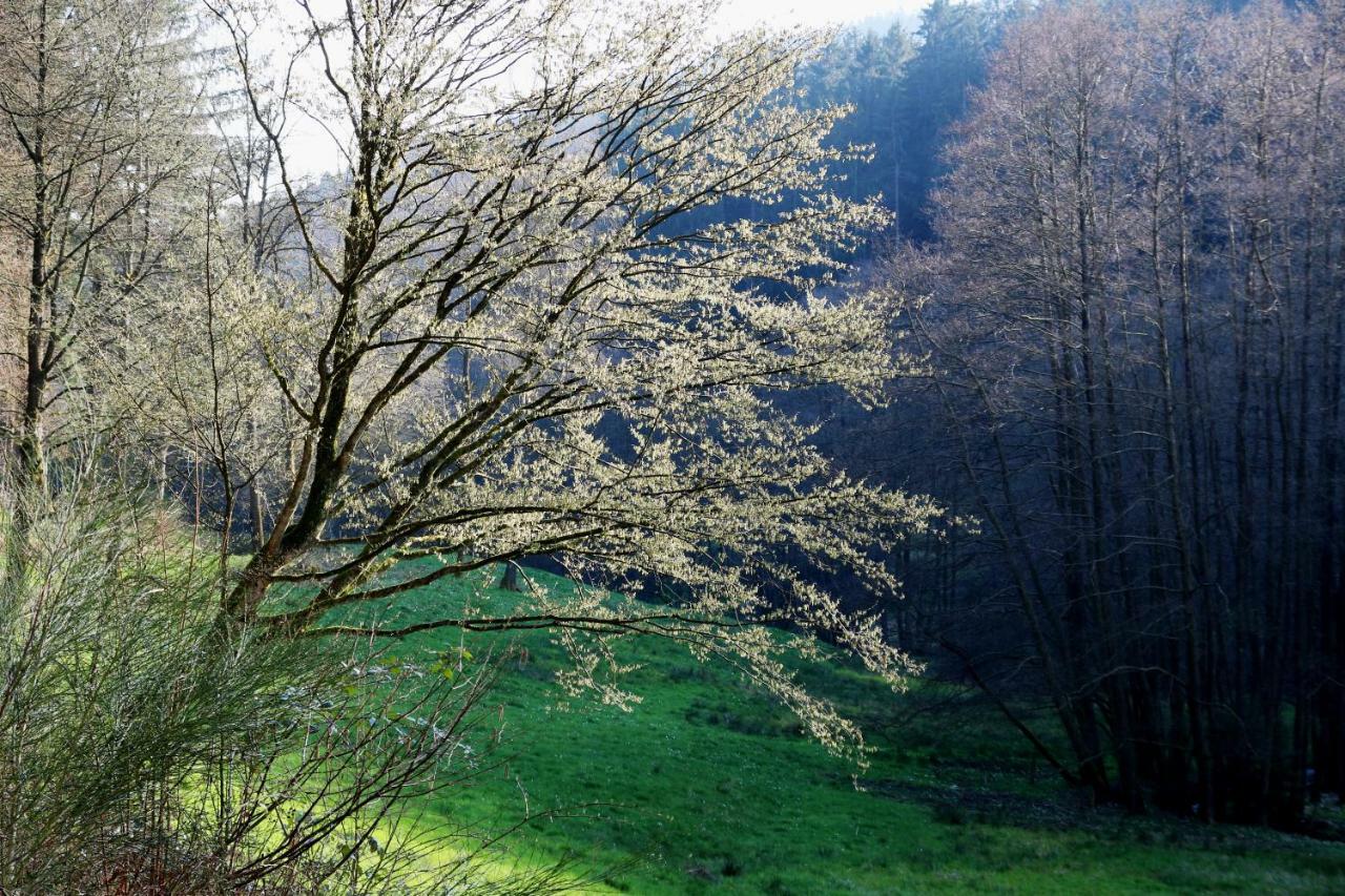 Apartmán UrlaubsRaum Heiligkreuzsteinach Exteriér fotografie