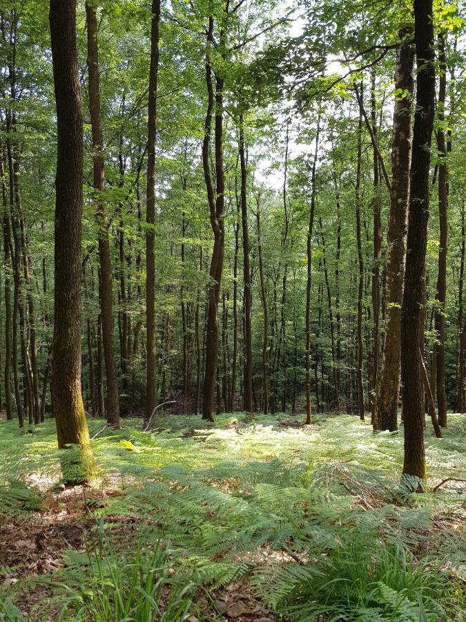 Apartmán UrlaubsRaum Heiligkreuzsteinach Exteriér fotografie